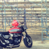 Triumph Speed Twin - Beastmaster