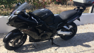 Honda CBR 1100XX - The Mule