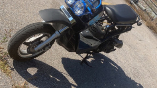 Honda Ruckus  - (chuckie)