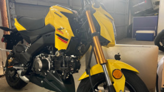 Kawasaki Z125 - Rubber Ducky
