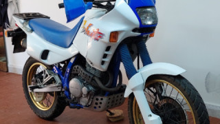 Honda NX 650 Dominator - Domy