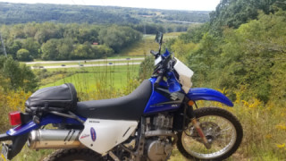 Suzuki DR 650 - Bush pig
