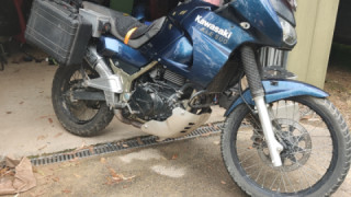 Kawasaki KLE 500 - Bluedog