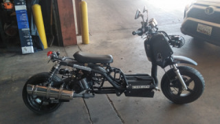 Honda Ruckus  - Maddog Icebear