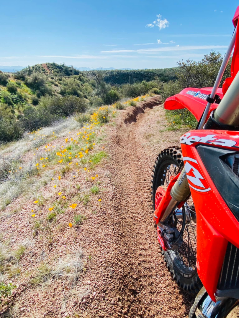Wildcat area. Poppy’s are a-poppin’……