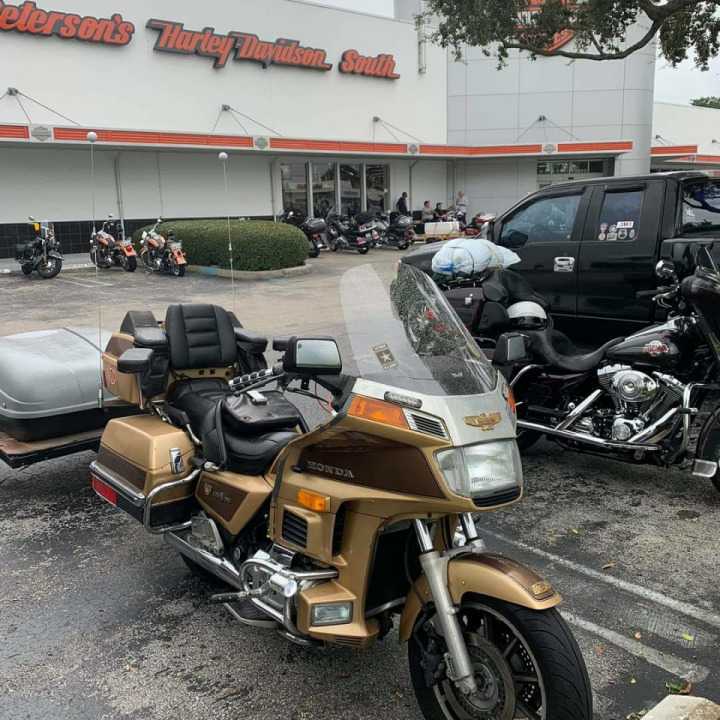 Gold Wing