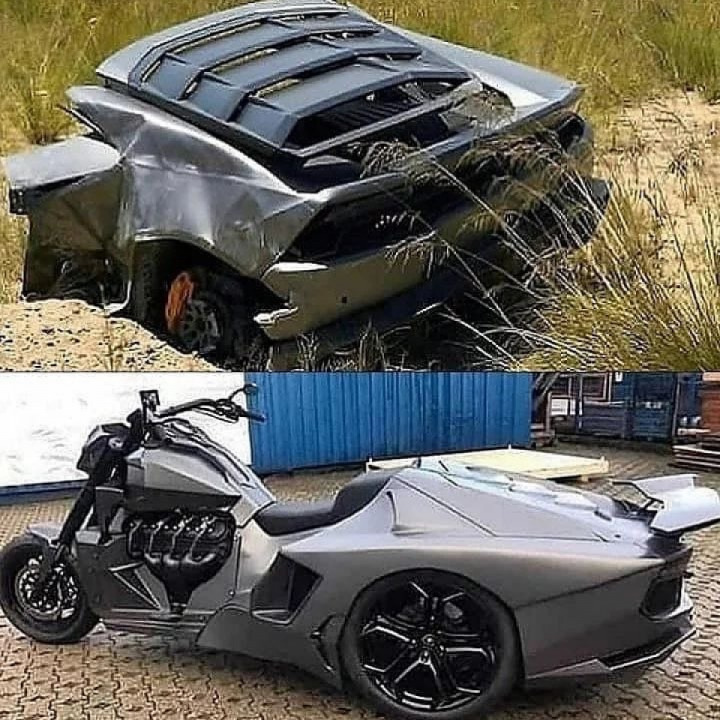 Looks like good idea for custom trike