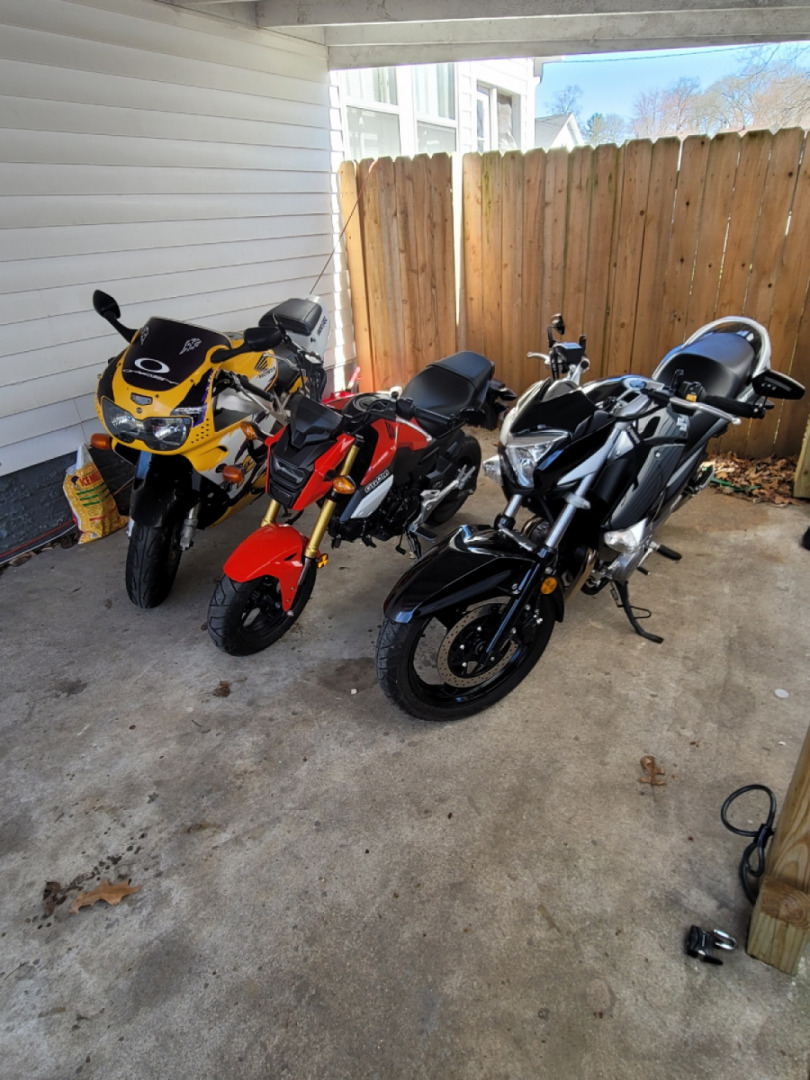 The girls are ready for warmer weather!!