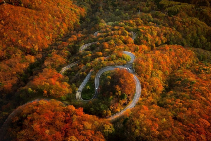 Anyone been on any fall color rides?