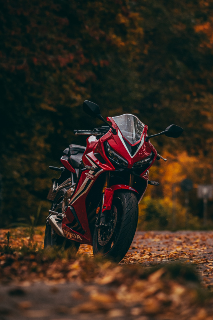 Langsam aber sicher kommt der Herbst ???️
