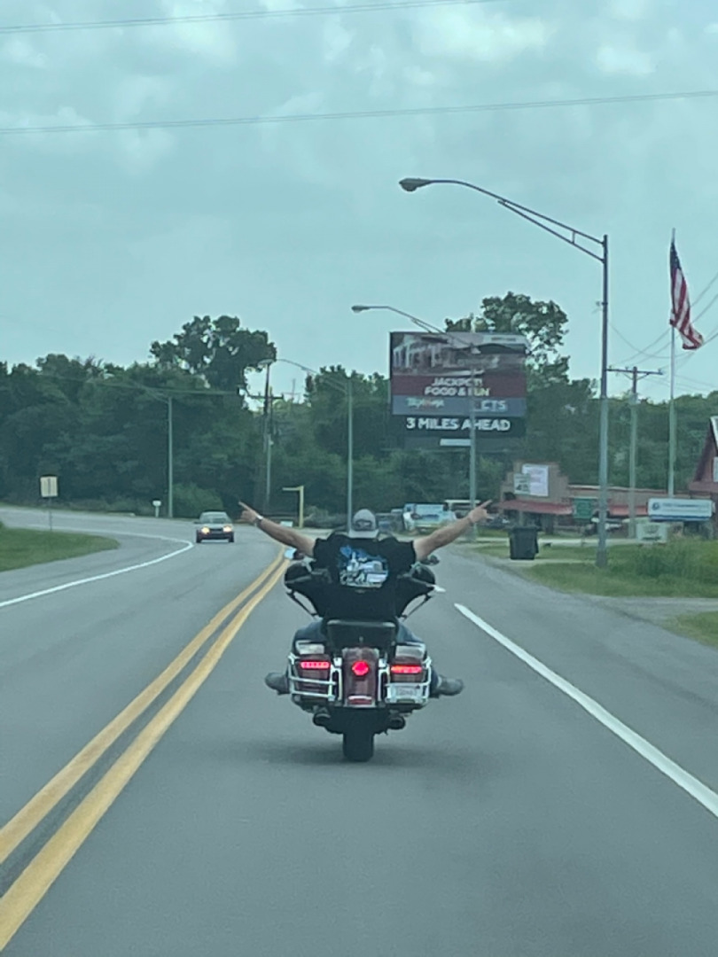Hog life