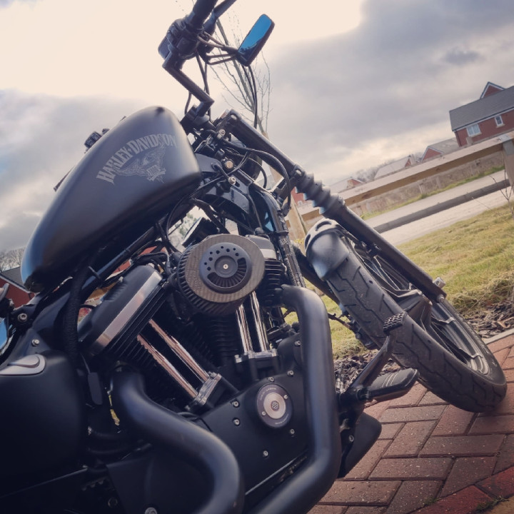 Sportster mad