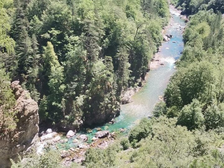 Wild beauty ☀️️❤️ Welcome to Montenegro