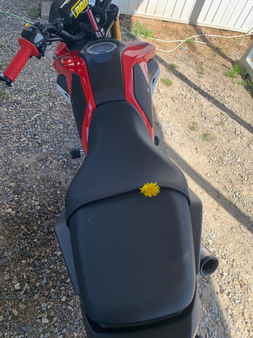 My daughter left me a flower on bike?