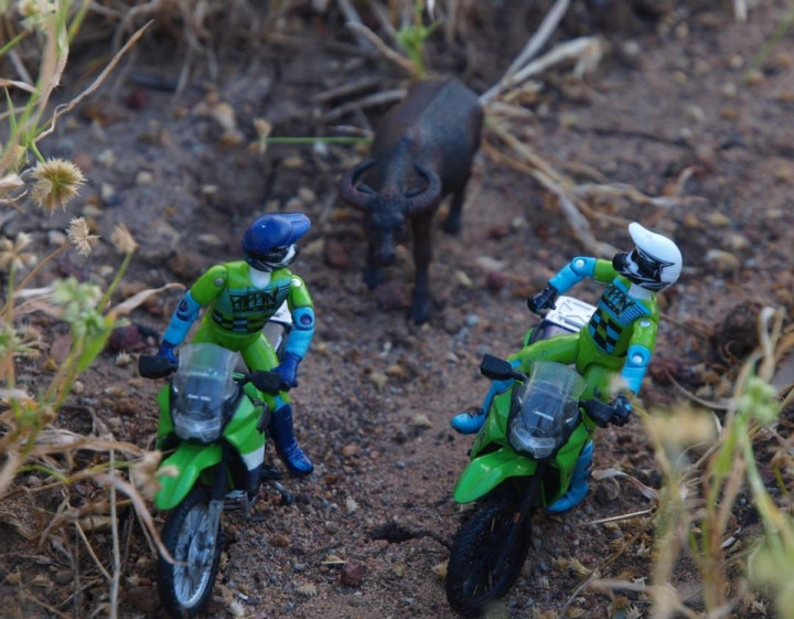 Team limey is back out doing what they do best... adventure bike riding.