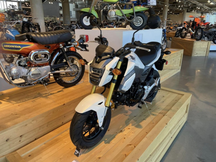 Grom and Kawasaki Z125 Pro