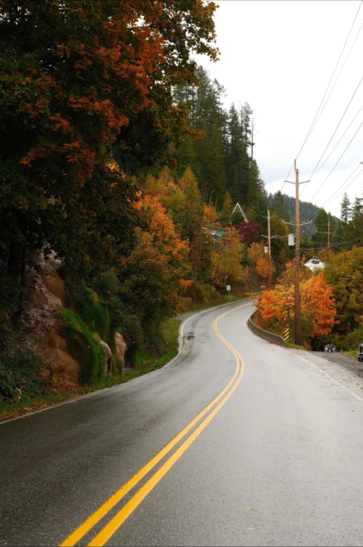 Ainsworth, October Road