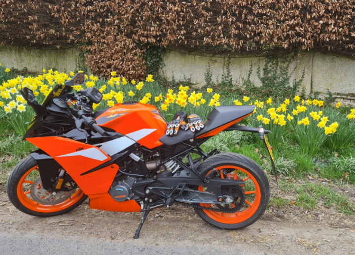 Loving the start of spring