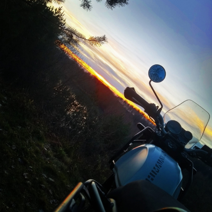Enjoying the last bit of sun