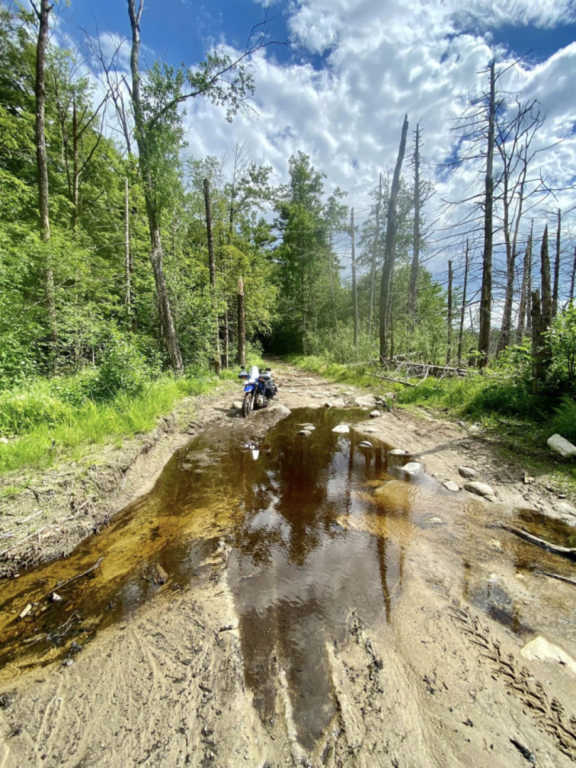 Stuck in the muck