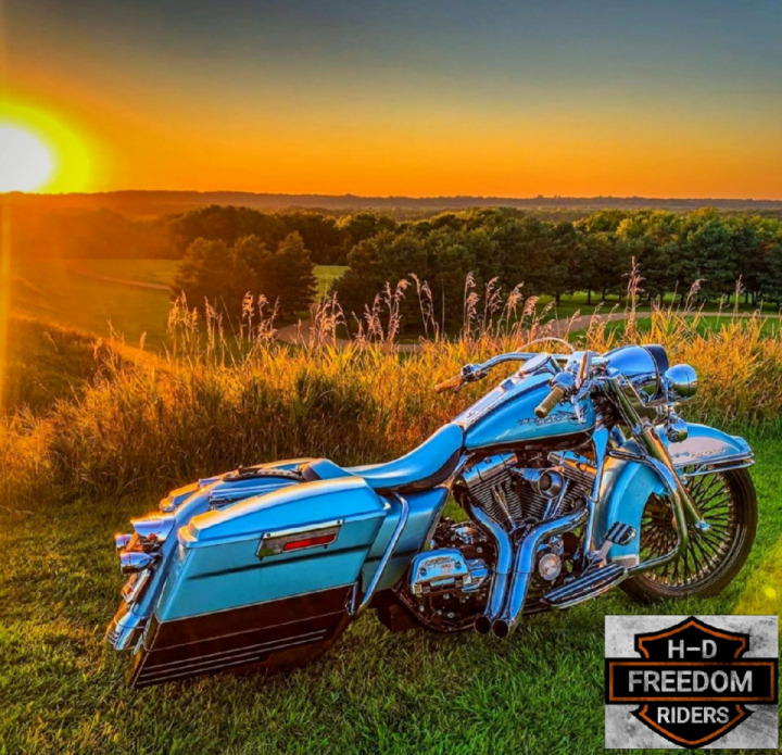 BEAUTIFUL ROADKING!