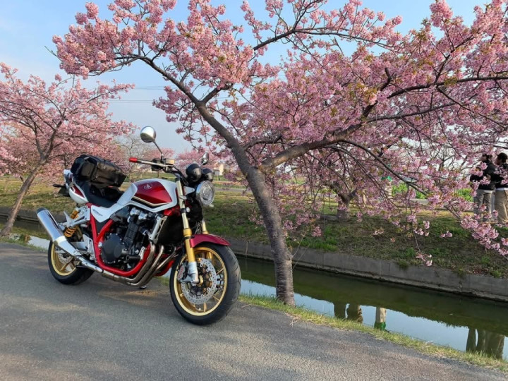 Сherry blossoms and CB1300