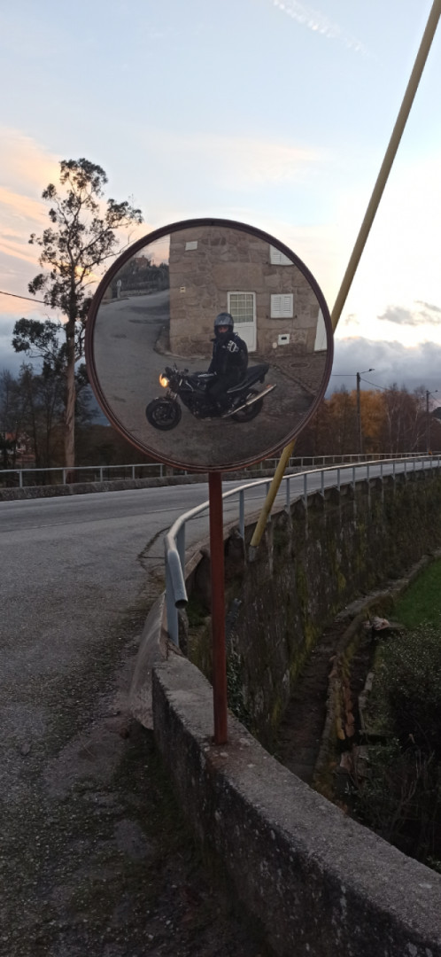 SelfiEsteen
