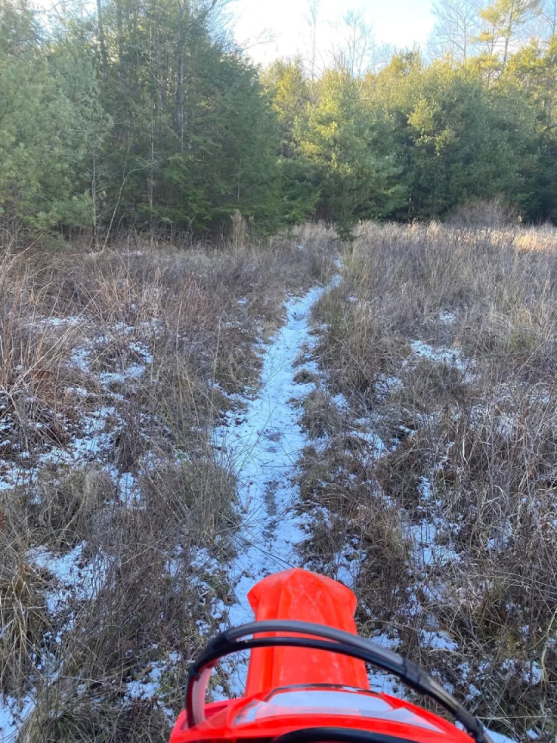 Frosty out there today