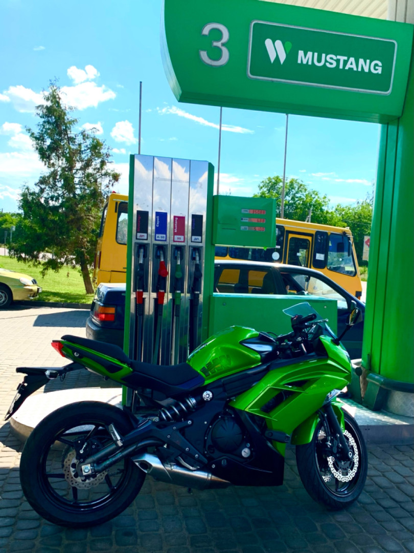 Mustang at the stop