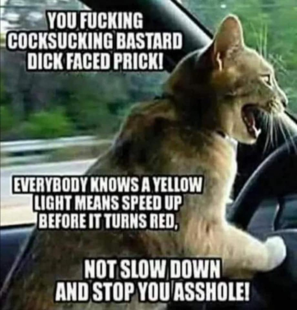 Just saying