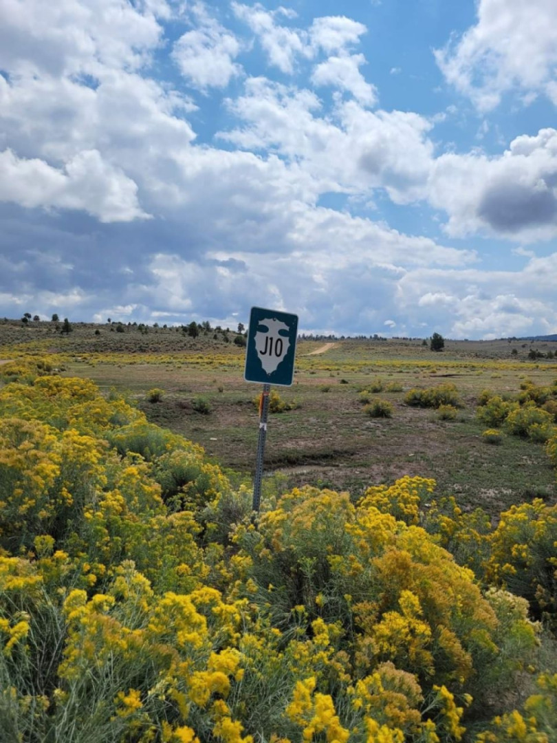 Coolest road sign ever? Apache reservation northern New Mexico.