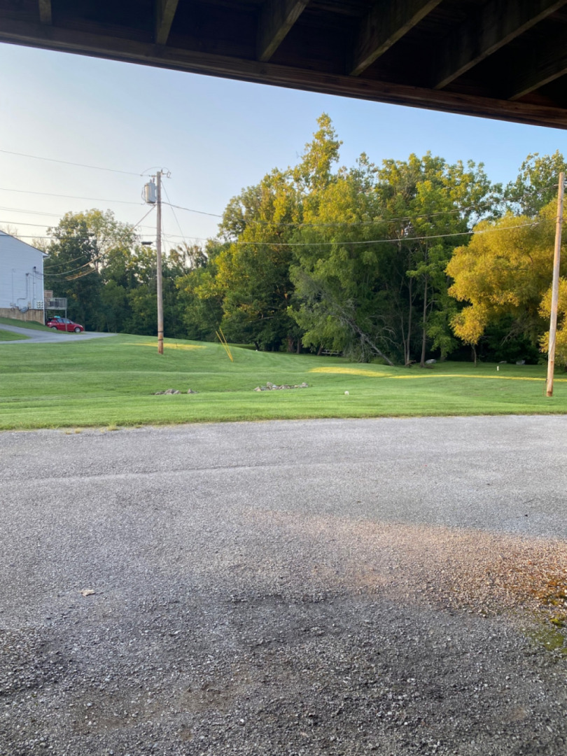 My Backyard