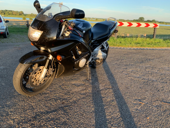 Evening ride