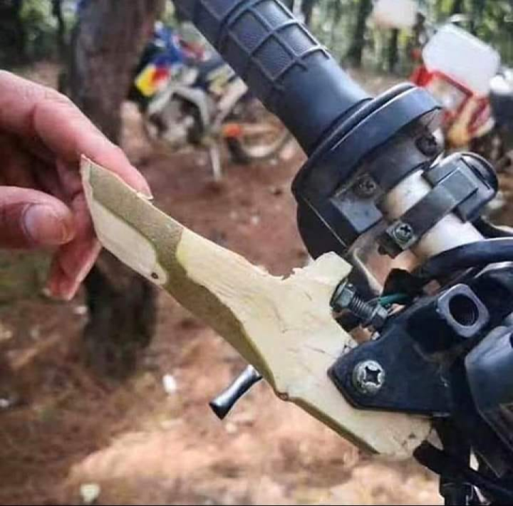 Bush Mechanic...