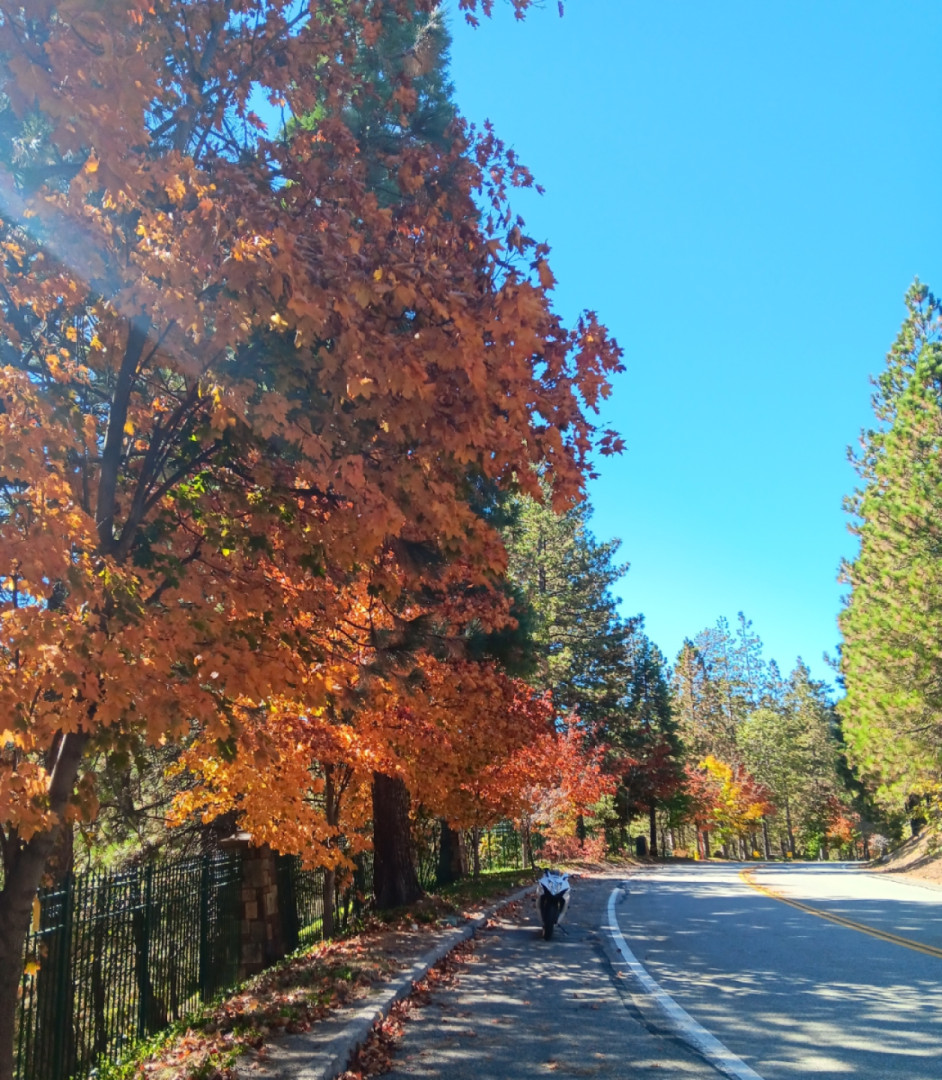 Fall has arrived