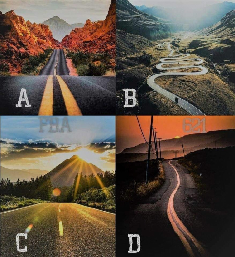 What do you choose?