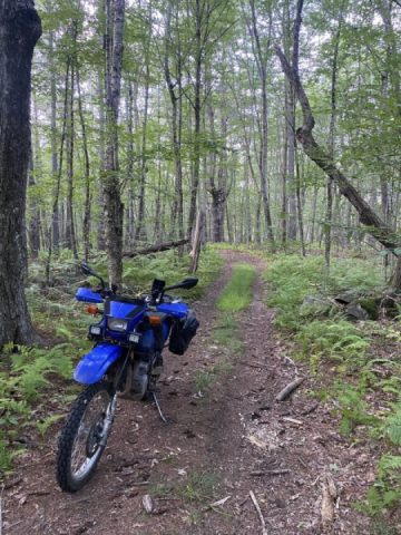 Skelley to Baldwin Road, Central Massachusetts