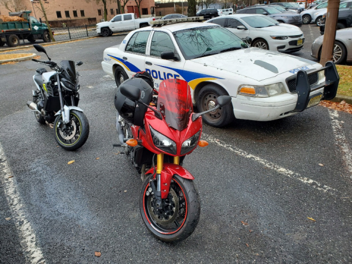 Making friends