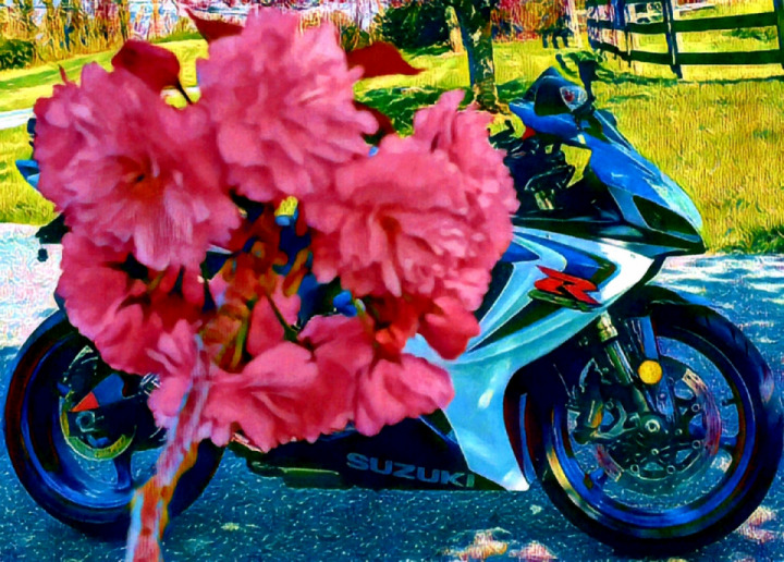 Even if we have snow & ice allover Spring is getting closer I can smell it .... #Flamenca