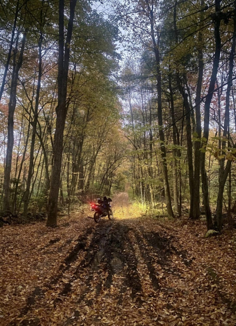 Braille trails