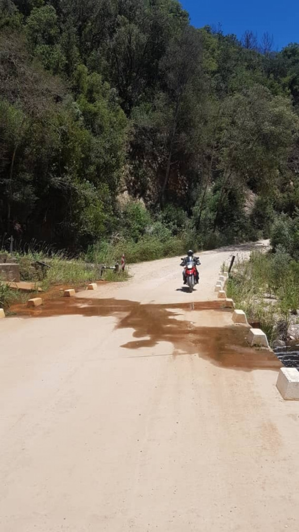 Todays Ride
