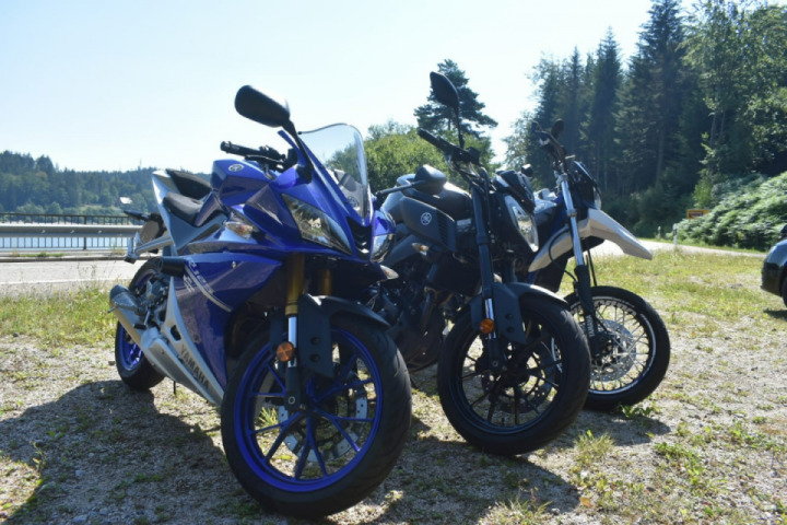 Trio?