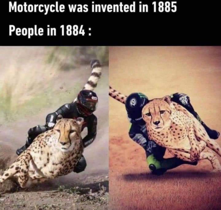 History