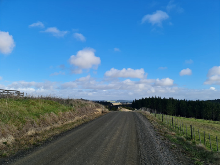 Mangawhai dargaville