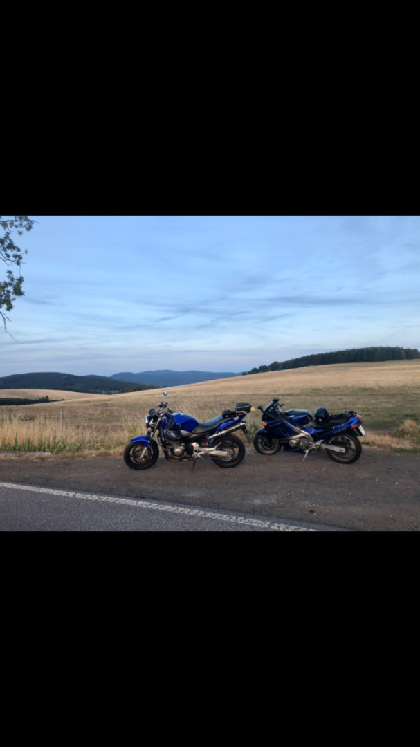 Perfect day ?