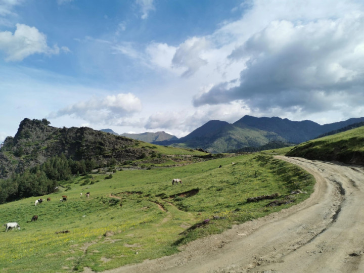 Ancient Smuggler Road from Spain to Andorra with wild horses, rougher than expected