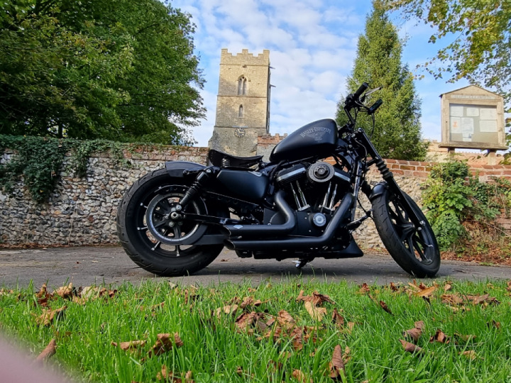 Harley davidson sportster iron 883 custom