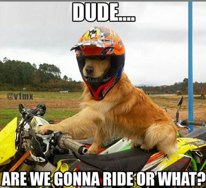 Ride of Thanks