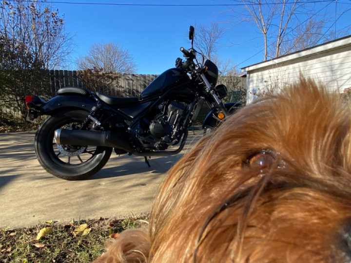 Good Day Everyone!☀️ It’s a beautiful whopping 43 degrees where I’m at. What a time to be outside?