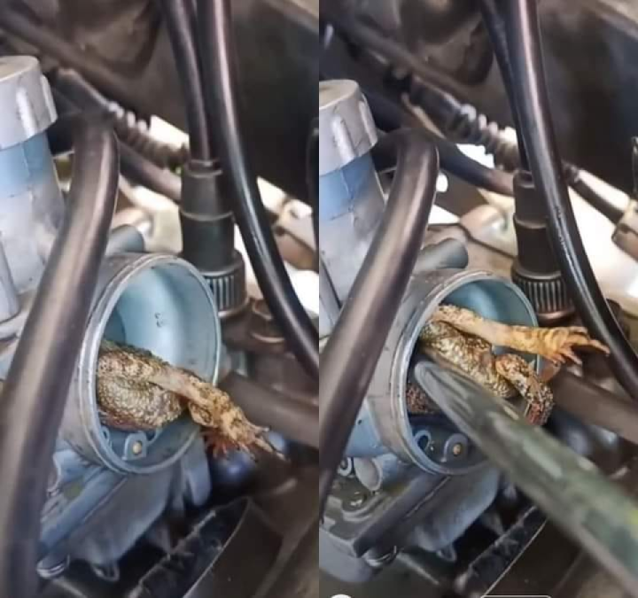 When you go to check why your carb won't work ? hahahaha